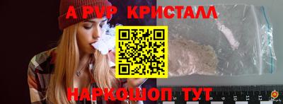 крисы Донской