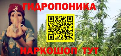 крисы Донской