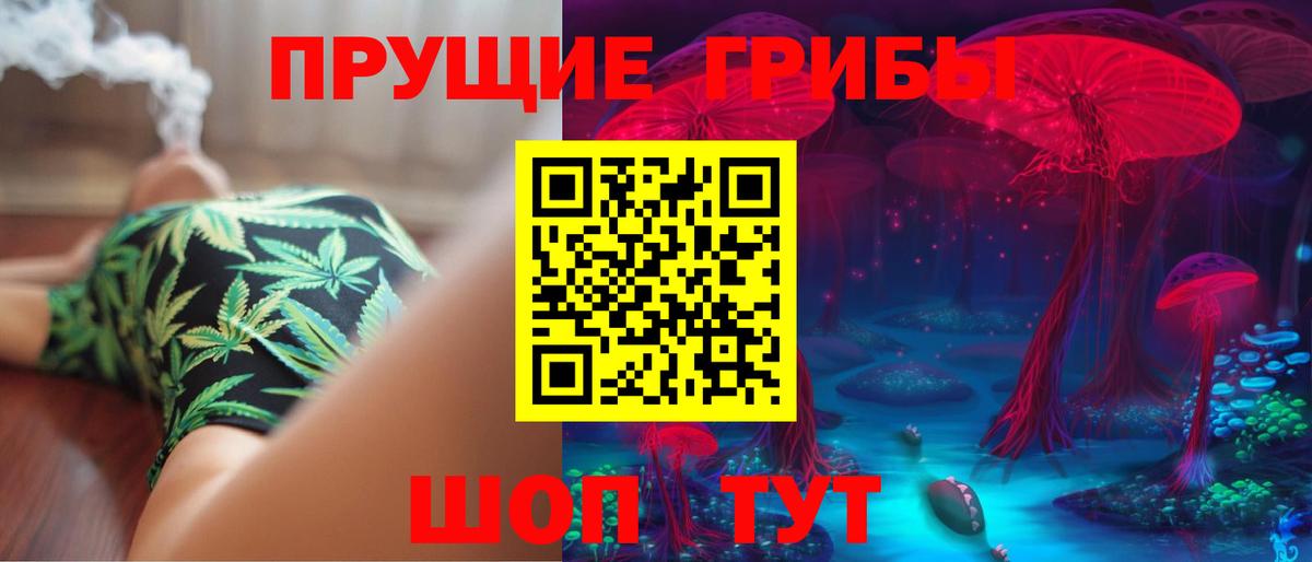 Галлюциногенные грибы Psilocybe  Вход с VPN  купить наркоту  Калуга 